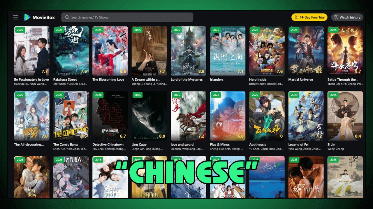 Chinese Blockbuster Films