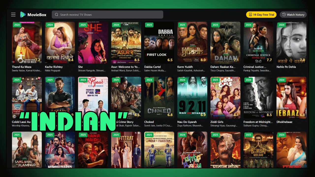 Indian Bollywood Hits